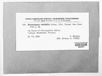 Image Associated With the Occurence